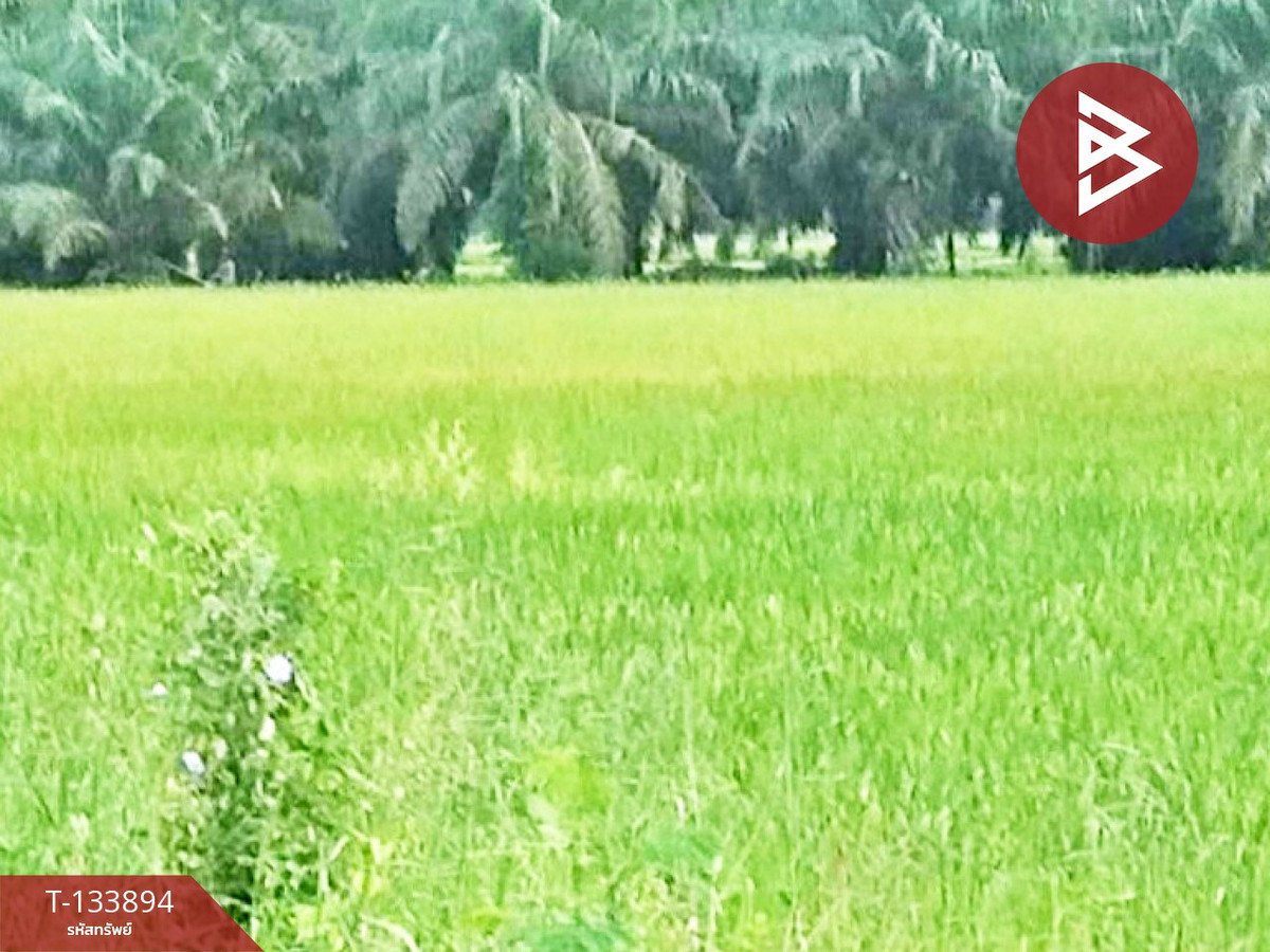 ขายที่ดิน เนื้อที่ 3 ไร่ 3 งาน 6 ตร.วา ระโนด สงขลา – รูปที่ 3