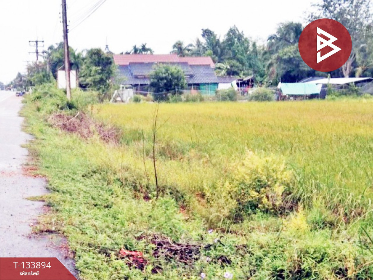 ขายที่ดิน เนื้อที่ 3 ไร่ 3 งาน 6 ตร.วา ระโนด สงขลา – รูปที่ 2