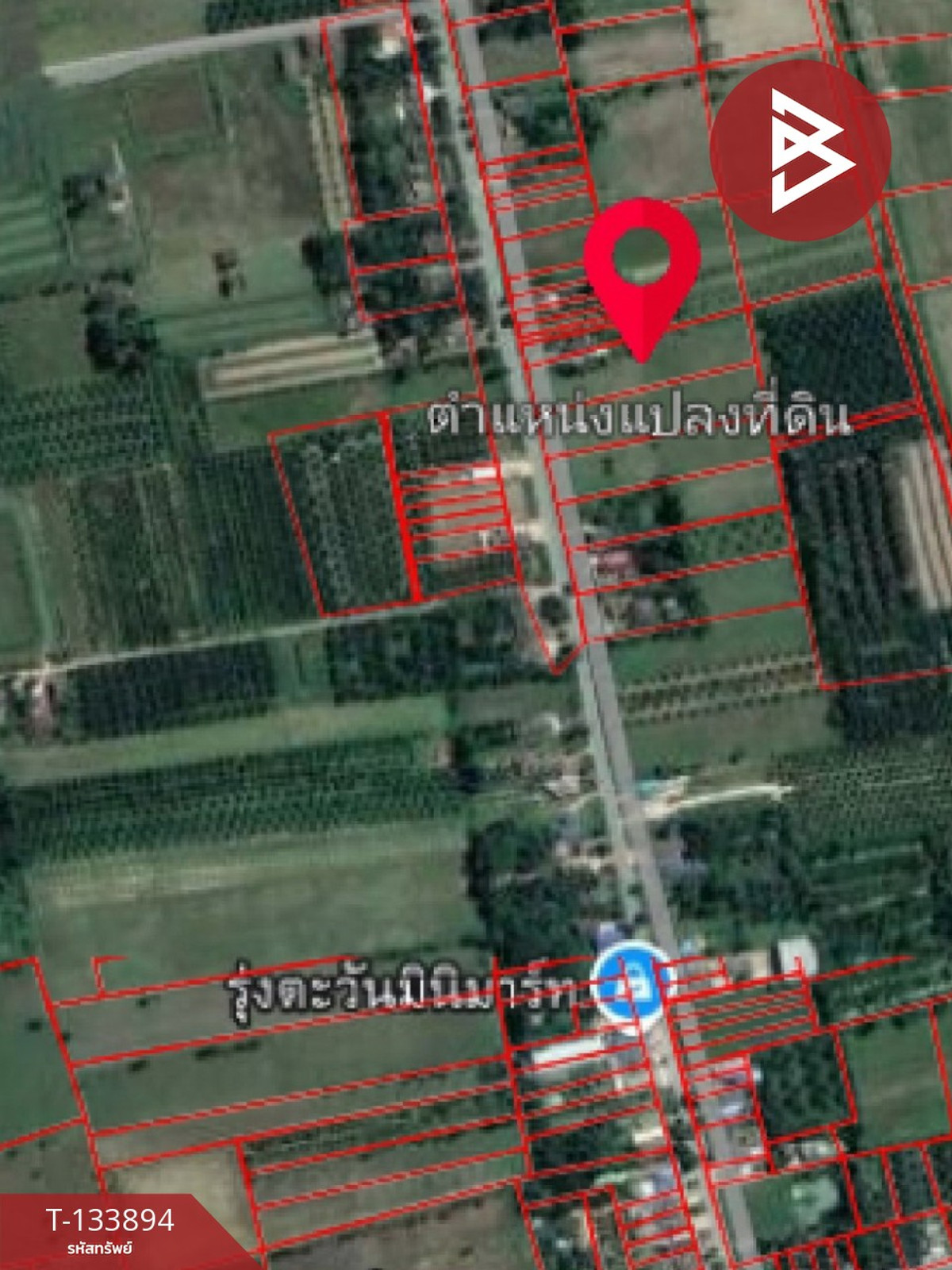 ขายที่ดิน เนื้อที่ 3 ไร่ 3 งาน 6 ตร.วา ระโนด สงขลา – รูปที่ 4