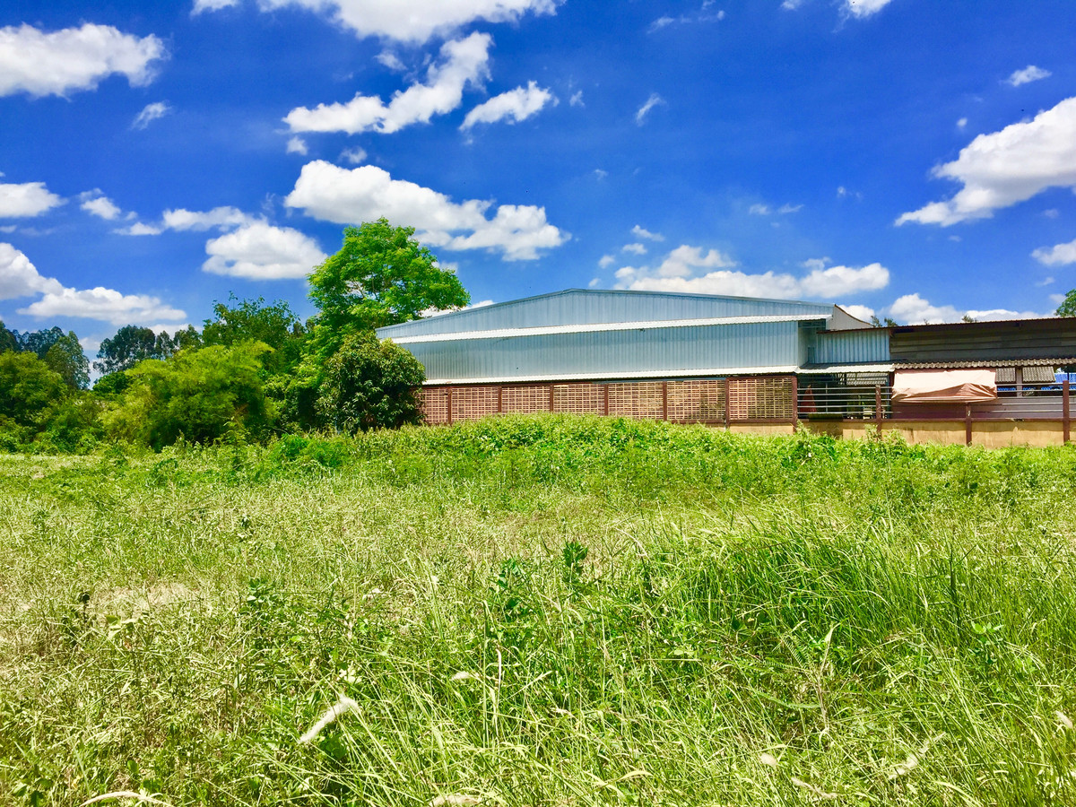 Land for sale, already filled in, 283 sq m., up to 7 and a half rai, divided for sale, Pathum, Lat Lum Kaeo, next to Kamnan Wirat Road. – รูปที่ 4