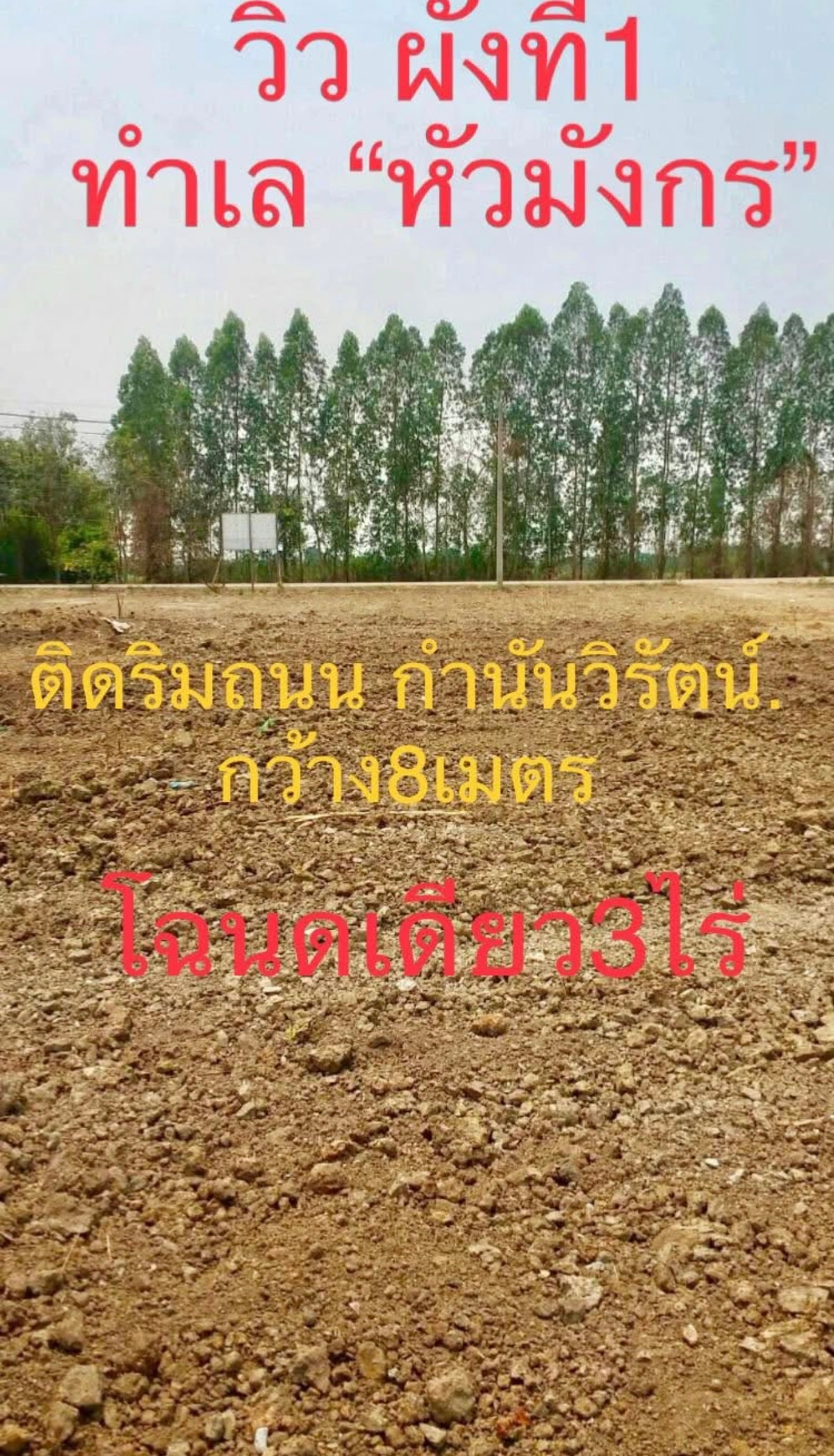 Land for sale, already filled in, 283 sq m., up to 7 and a half rai, divided for sale, Pathum, Lat Lum Kaeo, next to Kamnan Wirat Road. – รูปที่ 2