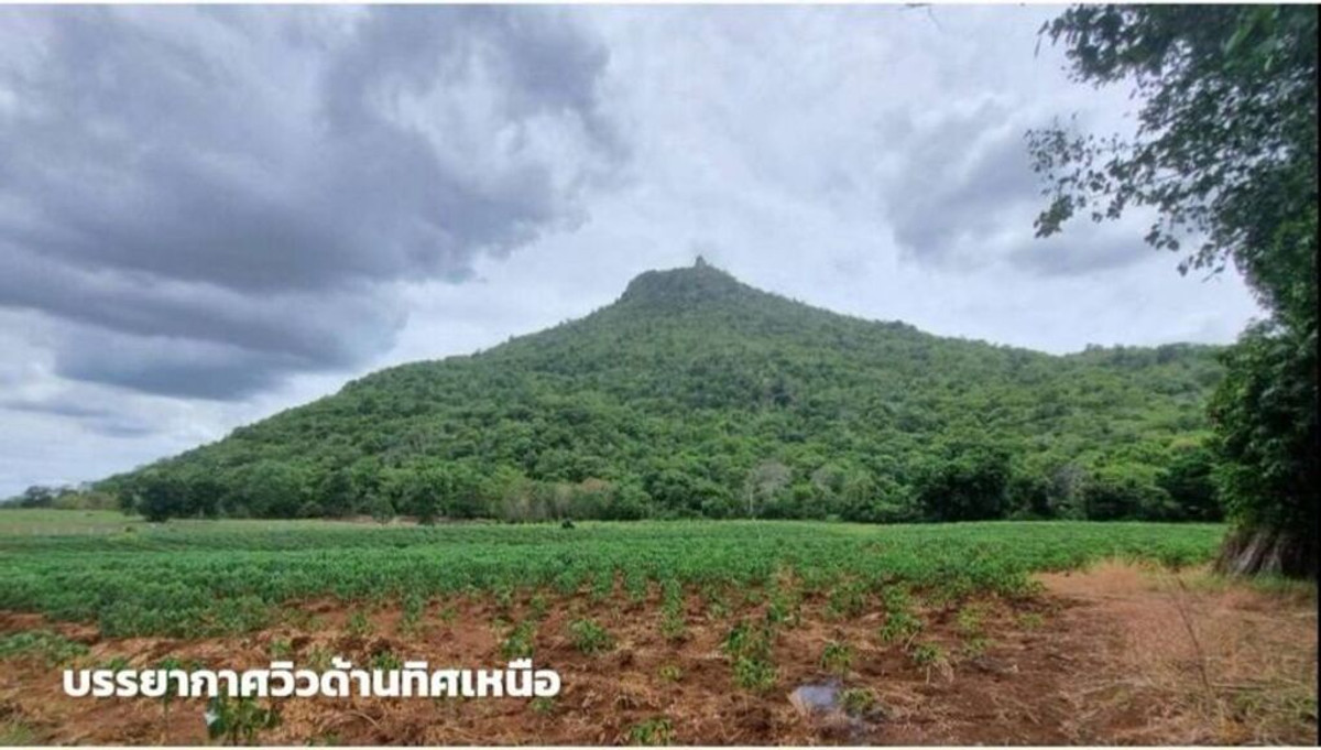 ขายที่ดินภูเขาไฟ บ้านหนองสะแกสี่ ต.โคกสะอาด อ.ศรีเทพ จ.เพชรบูรณ์(ห่างทางหลวง หมายเลข21 8 กม.หรือ 15 นาทีจากตัวอำเภอ) ขายที่ดินภูเขาไฟ บ้านหนองสะแกสี่ ต.โคกสะอาด อ.ศรีเทพ จ.เพชรบูรณ์(ห่างทางหลวง หมายเลข21 8 กม.หรือ 15 นาทีจากตัวอำเภอ)