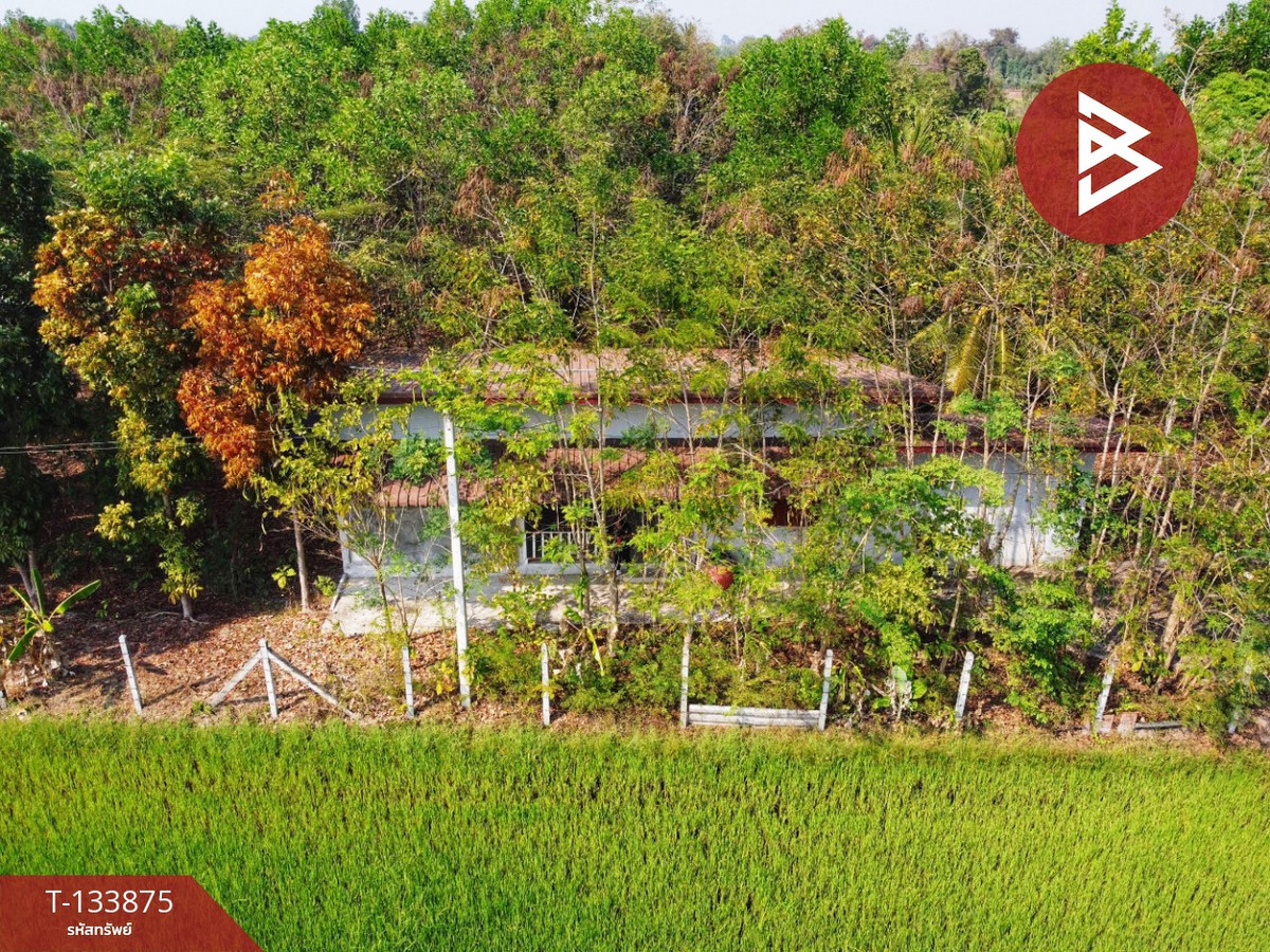 Single house with land for sale, area 4 rai 2 ngan 88 sq m, Nong Chang, Uthai Thani.