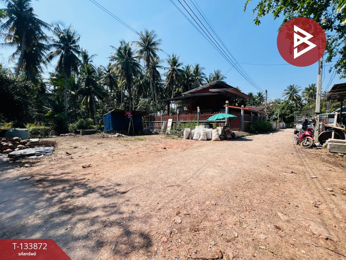 ขายที่ดินถมแล้ว เนื้อที่ 46 ตร.วา ดำเนินสะดวก ราชบุรี ขายที่ดินถมแล้ว เนื้อที่ 46 ตร.วา ดำเนินสะดวก ราชบุรี