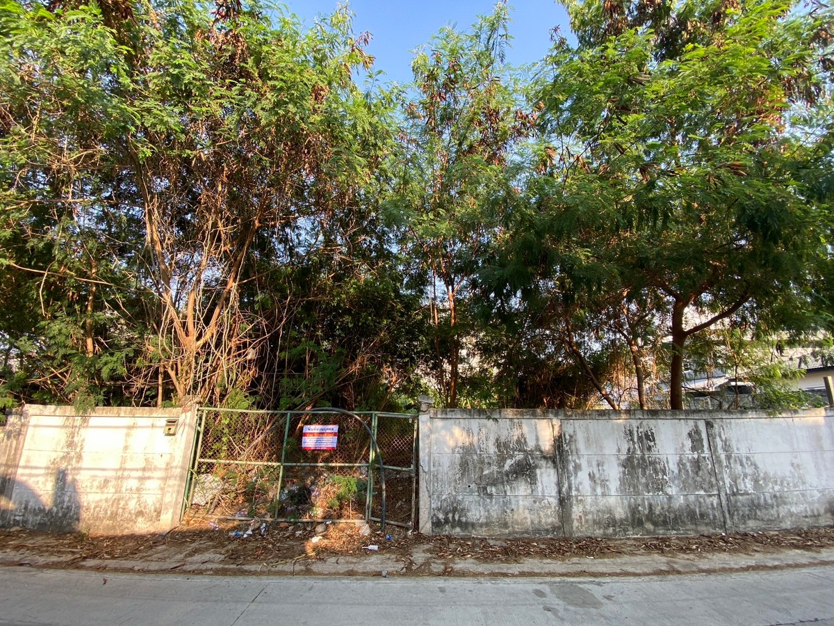 ขายที่ดินทำเลศักยภาพ อินทามระ 37 ใจกลางเมือง เหมาะสร้างบ้านหรือพัฒนาอพาร์ทเมนต์ พื้นที่หายากในย่านนี้ ขายที่ดินทำเลศักยภาพ อินทามระ 37 ใจกลางเมือง เหมาะสร้างบ้านหรือพัฒนาอพาร์ทเมนต์ พื้นที่หายากในย่านนี้