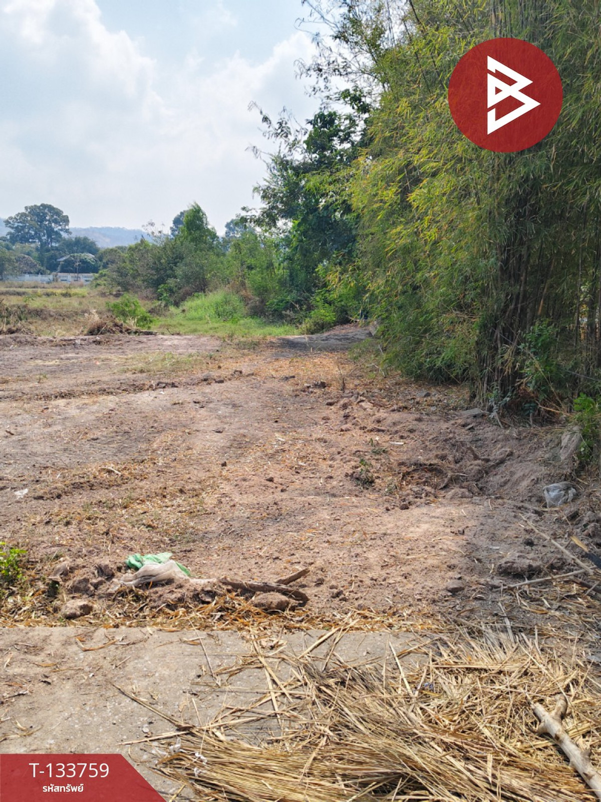 ขายที่ดิน เนื้อที่ 2 ไร่ 3 งาน หนองปลาไหล สระบุรี – รูปที่ 4