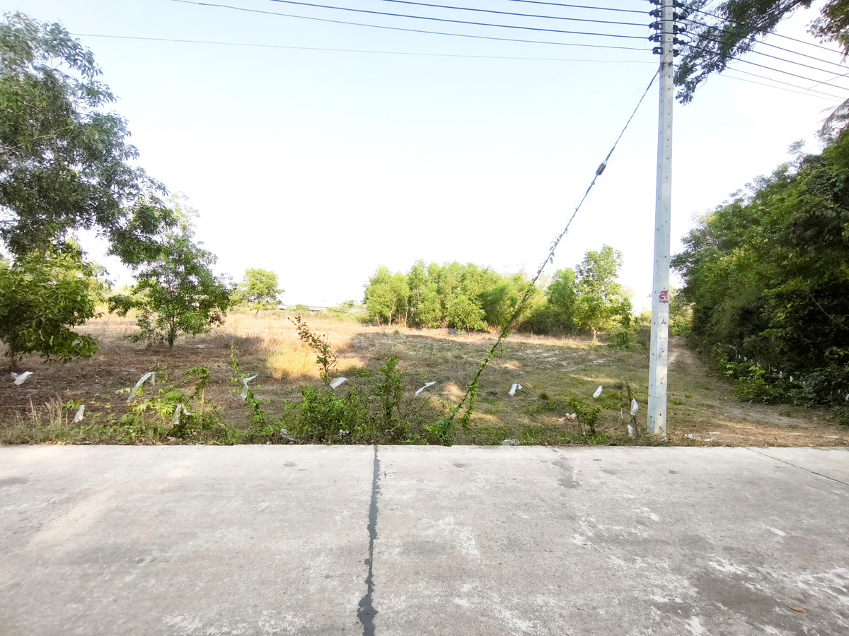 ขายที่ดิน 4 ไร่เศษ ไกล้นิคมอุตสาหกรรม 304 อ.ศรีมหาโพธิ ปราจีนบุรี