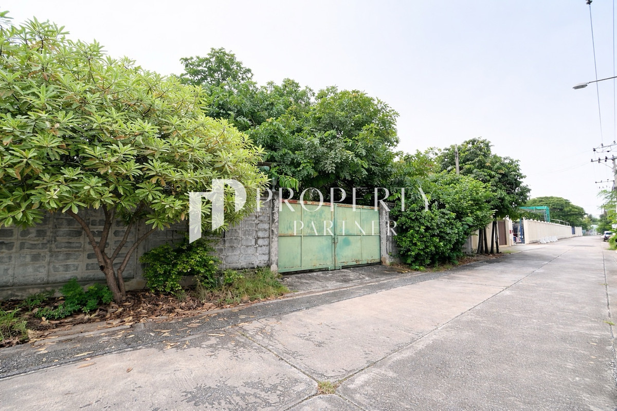 ที่ดินแปลงสวย ซอยอ่อนนุช 14 – ทำเลต้นซอย หายาก! เหมาะสร้างบ้าน ลงทุนหรือพัฒนาโครงการ  – รูปที่ 3