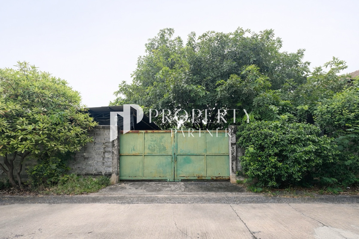 ที่ดินแปลงสวย ซอยอ่อนนุช 14 – ทำเลต้นซอย หายาก! เหมาะสร้างบ้าน ลงทุนหรือพัฒนาโครงการ  – รูปที่ 2