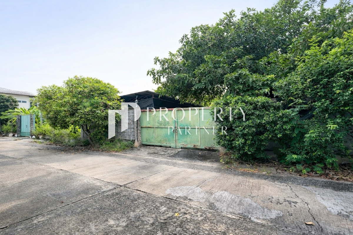 ที่ดินแปลงสวย ซอยอ่อนนุช 14 – ทำเลต้นซอย หายาก! เหมาะสร้างบ้าน ลงทุนหรือพัฒนาโครงการ ที่ดินแปลงสวย ซอยอ่อนนุช 14 – ทำเลต้นซอย หายาก! เหมาะสร้างบ้าน ลงทุนหรือพัฒนาโครงการ