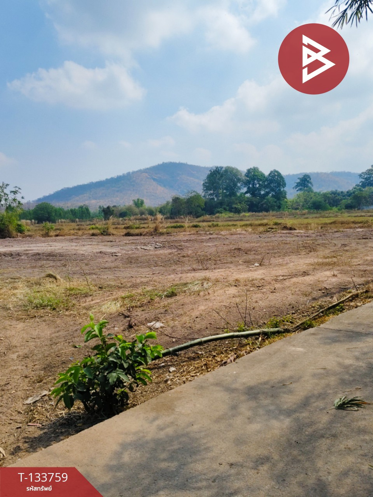 ขายที่ดิน เนื้อที่ 2 ไร่ 3 งาน หนองปลาไหล สระบุรี – รูปที่ 3
