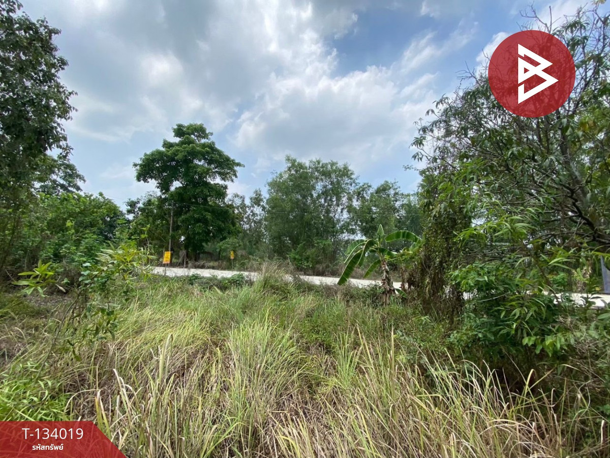 Land for sale, area 2 ngan 40 sq m, Nong Suea, Pathum Thani. Land for sale, area 2 ngan 40 sq m, Nong Suea, Pathum Thani.