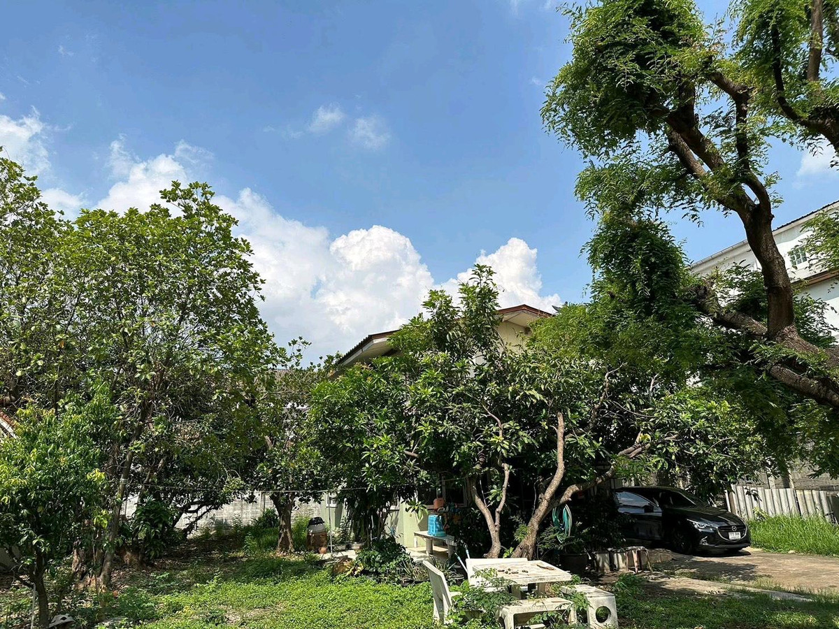 ให้เช่าที่ดินพร้อมสิ่งปลูกสร้างครึ่งตึกครึ่งไม้ เหมาะสำหรับทำร้านอาหาร หรือ cafe เนื้อที่ 163 ตรวที่ตั้ง : พระราม 9 ซอย 55  – รูปที่ 3
