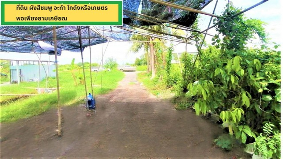 Cheap land for sale, 15 rai 6,000 sq m, pink layout, next to the road on 2 sides. In the future, this plot of land will be built as a road to access the motorway, Khlong 9, Bueng Ka Sam, Nong Suea, Pathum Thani. – รูปที่ 2