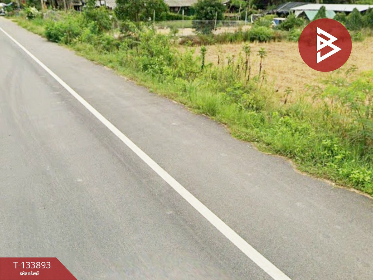 ขายที่ดิน เนื้อที่ 1 ไร่ 3 งาน 54 ตร.วา ระโนด สงขลา – รูปที่ 4