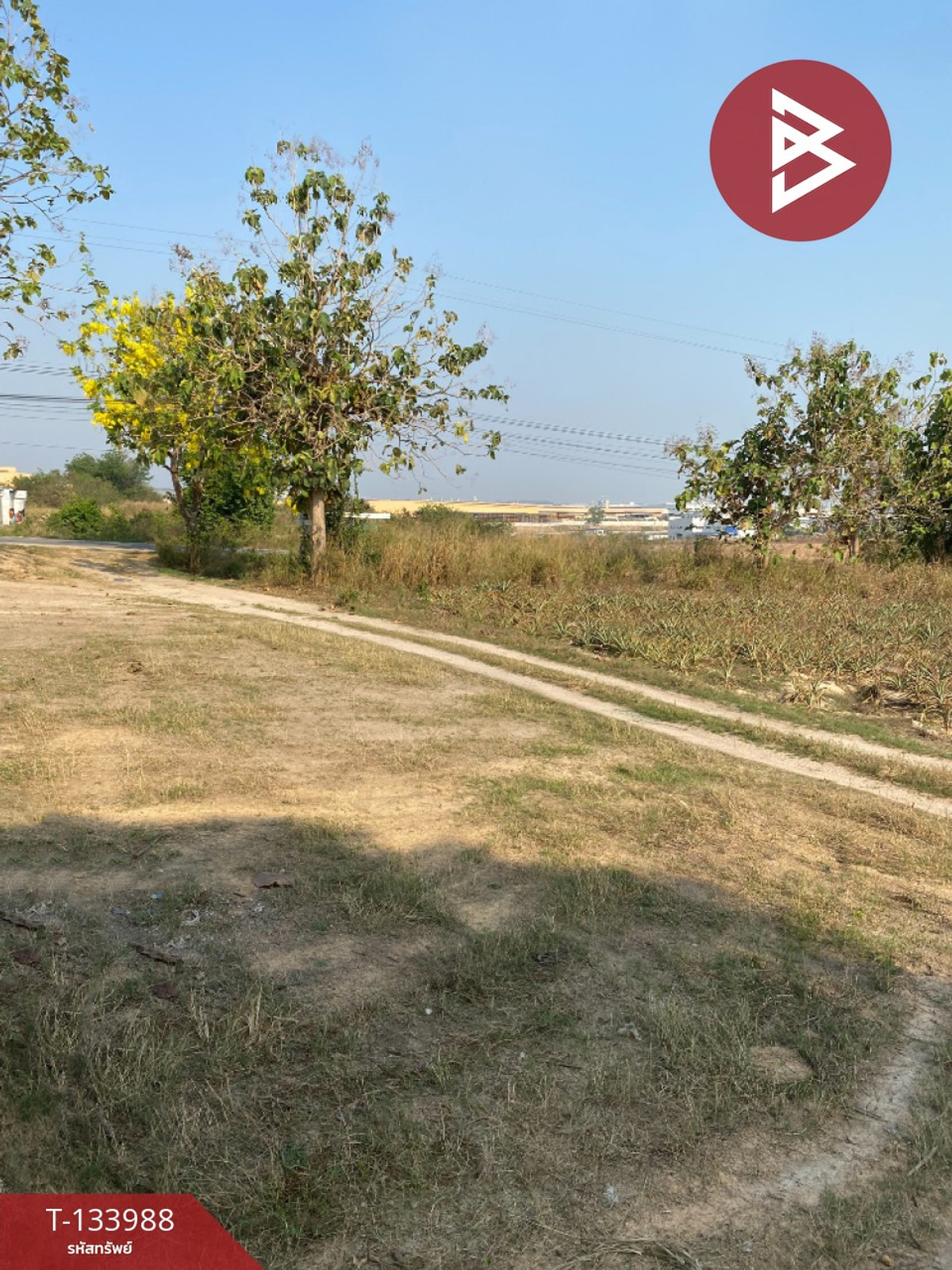 Land for sale, area 7 rai, Nikhom Phatthana, Rayong. – รูปที่ 3
