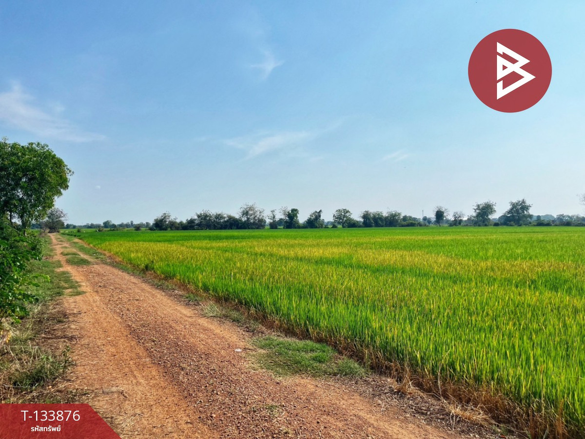 ขายที่ดิน เนื้อที่ 6 ไร่ สรรพยา ชัยนาท – รูปที่ 3