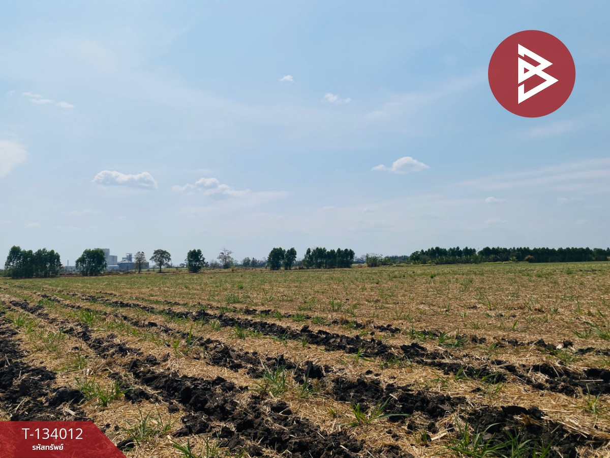 Beautiful land for sale, area 20 rai 3 ngan 66 square wah, Nong Bun Mak, Nakhon Ratchasima, near Road 24. Beautiful land for sale, area 20 rai 3 ngan 66 square wah, Nong Bun Mak, Nakhon Ratchasima, near Road 24.