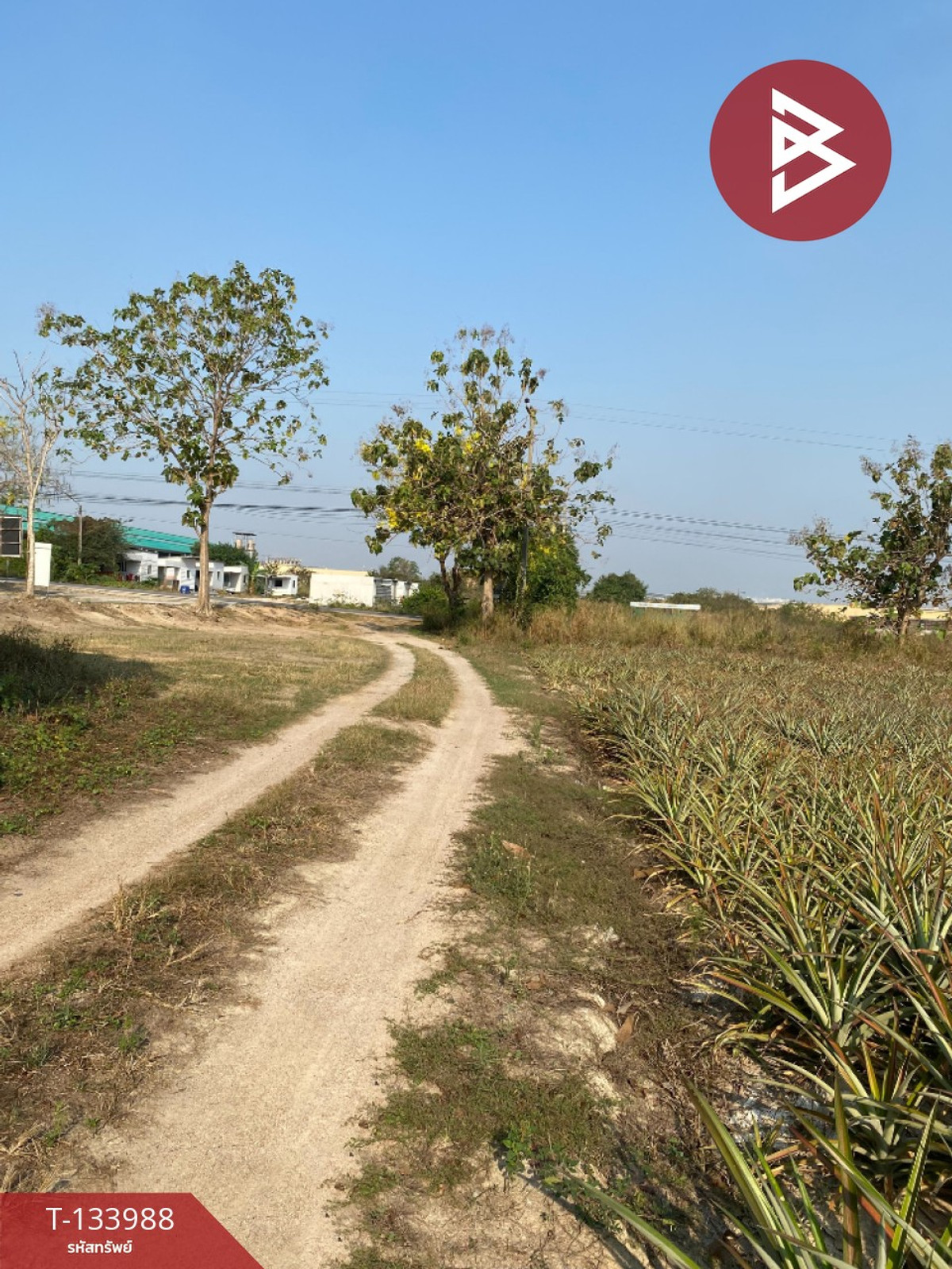 Land for sale, area 7 rai, Nikhom Phatthana, Rayong. – รูปที่ 2