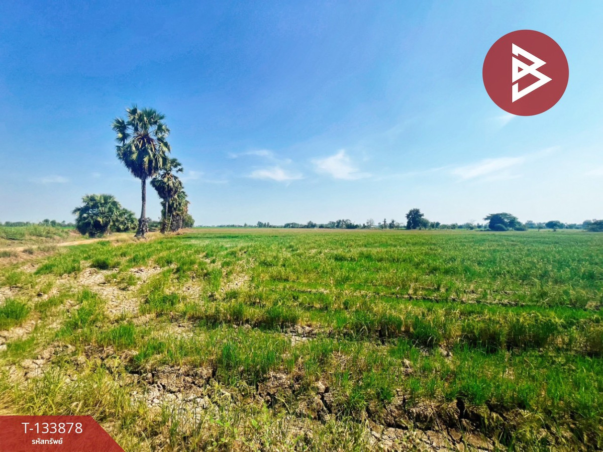 Land for sale, area 8 rai 2 ngan 62 sq m, Sapphaya, Chainat. Land for sale, area 8 rai 2 ngan 62 sq m, Sapphaya, Chainat.