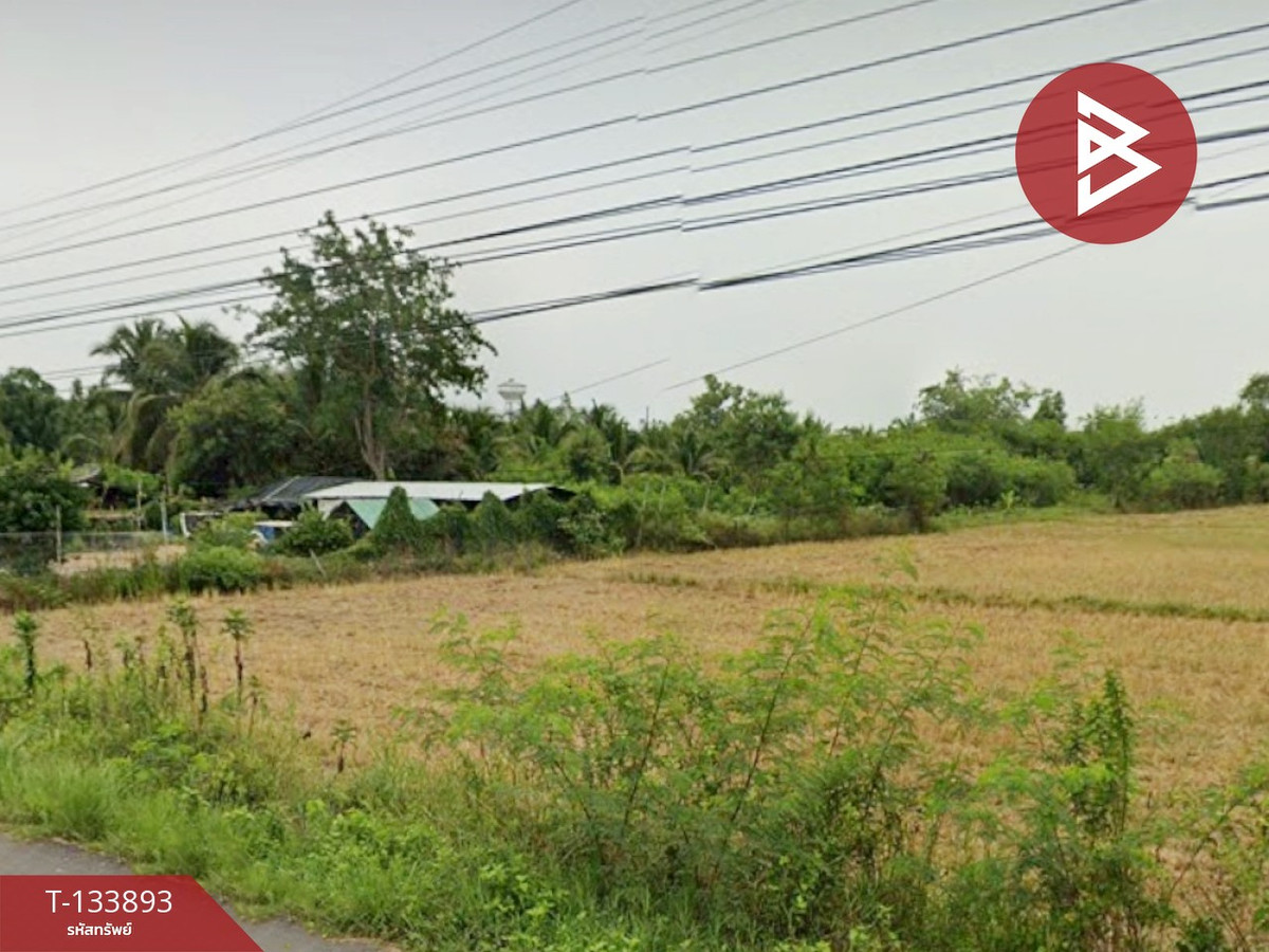 ขายที่ดิน เนื้อที่ 1 ไร่ 3 งาน 54 ตร.วา ระโนด สงขลา – รูปที่ 3