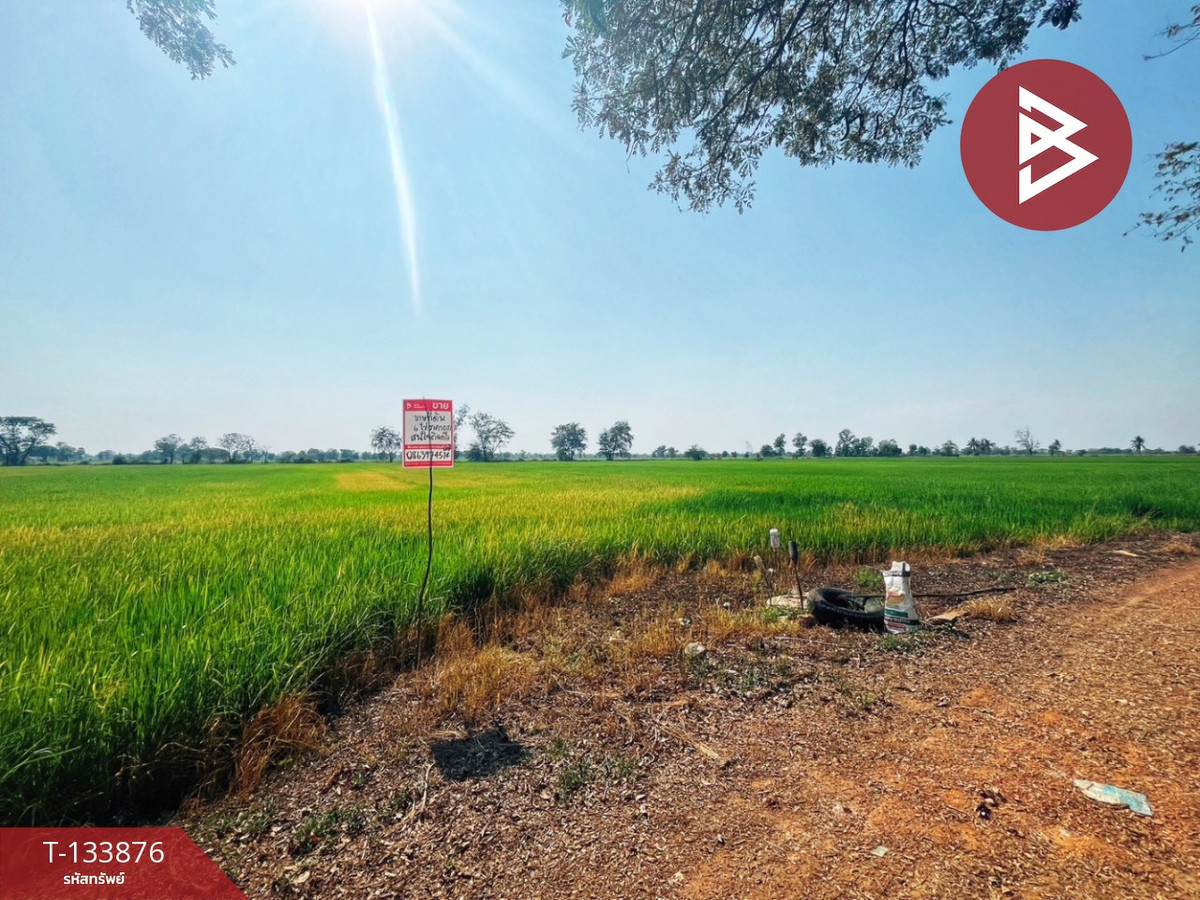 Land for sale, area 6 rai, Sapphaya, Chainat Land for sale, area 6 rai, Sapphaya, Chainat