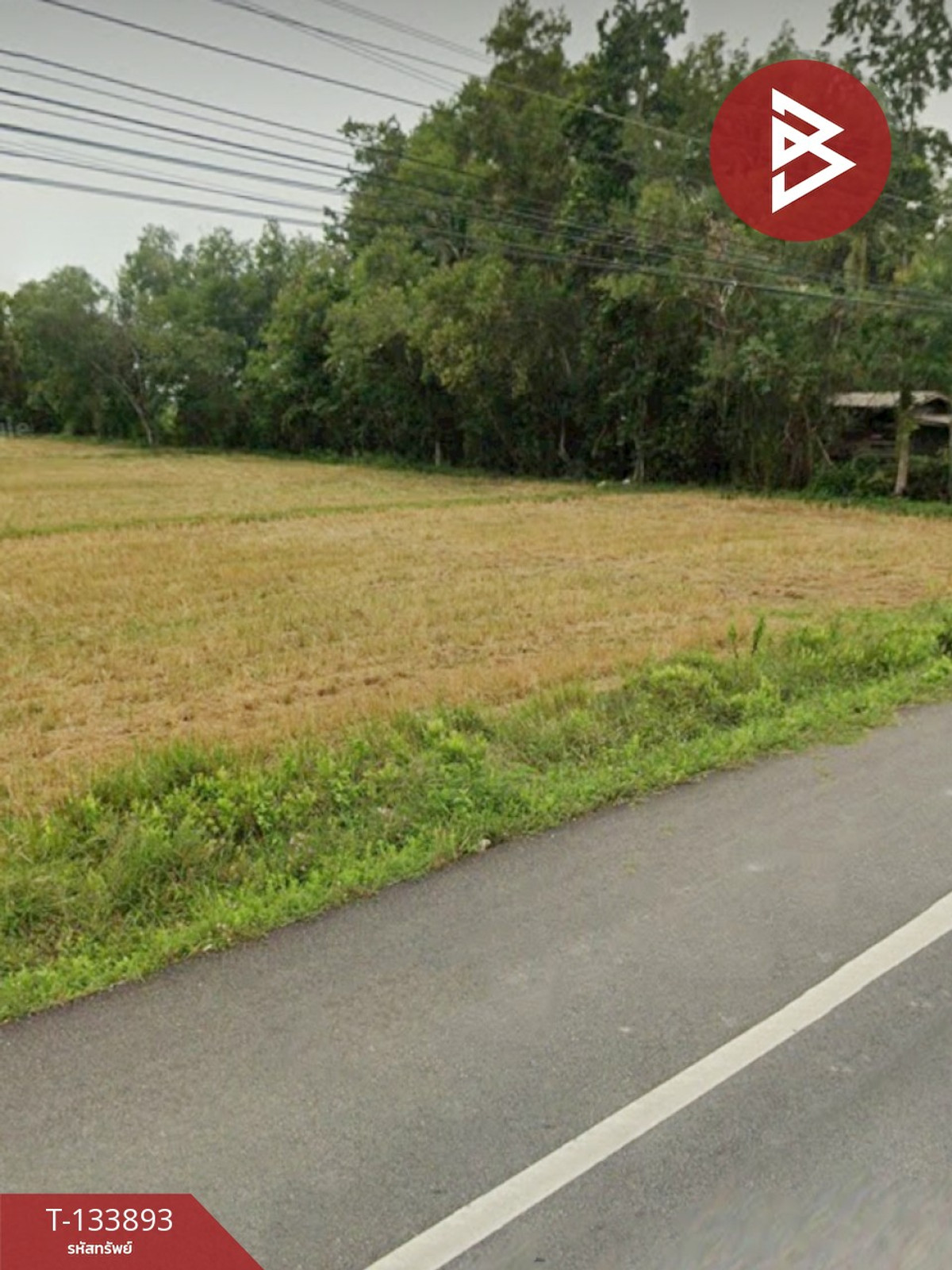 ขายที่ดิน เนื้อที่ 1 ไร่ 3 งาน 54 ตร.วา ระโนด สงขลา – รูปที่ 2