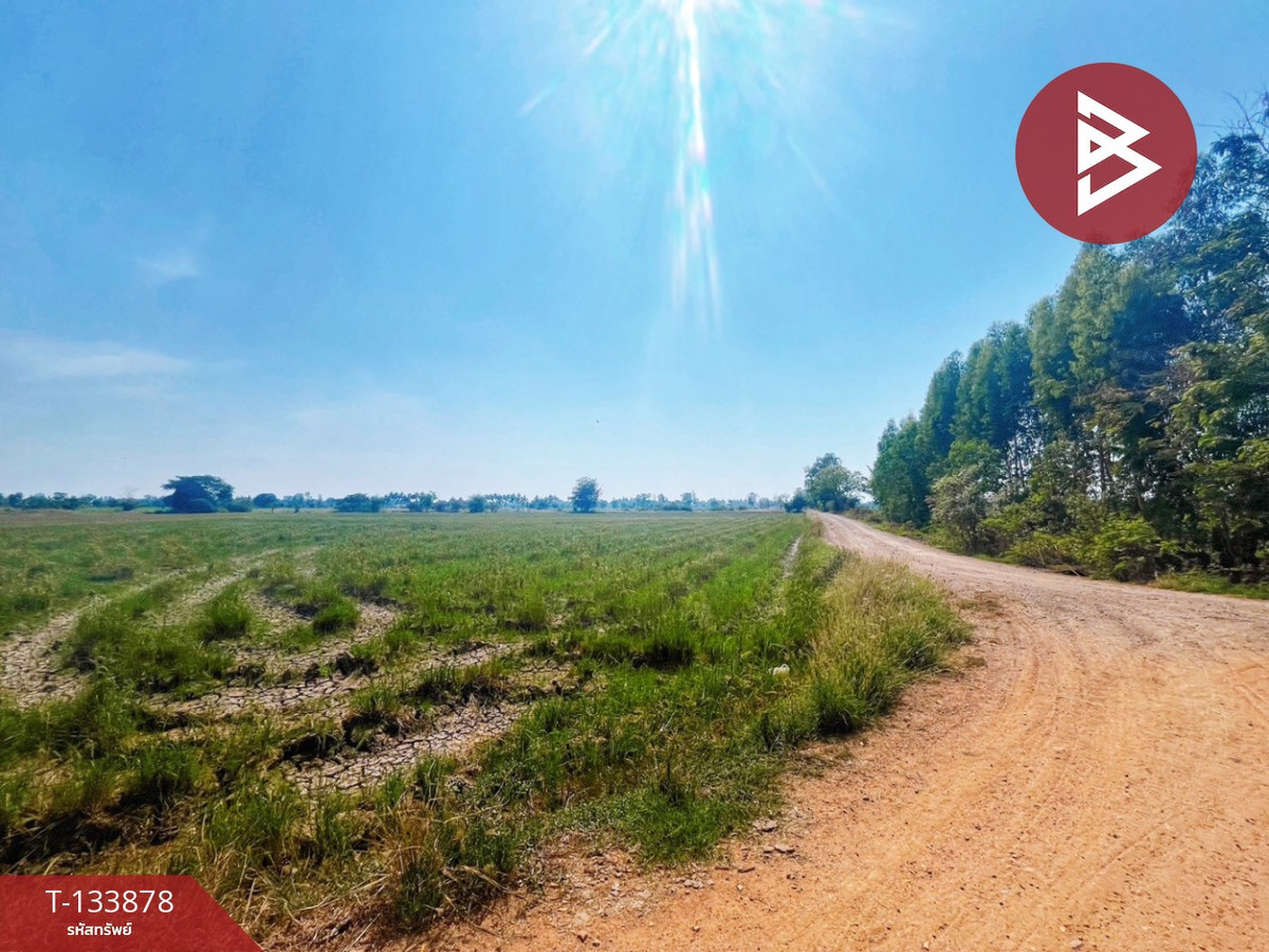 Land for sale, area 8 rai 2 ngan 62 sq m, Sapphaya, Chainat. – รูปที่ 3