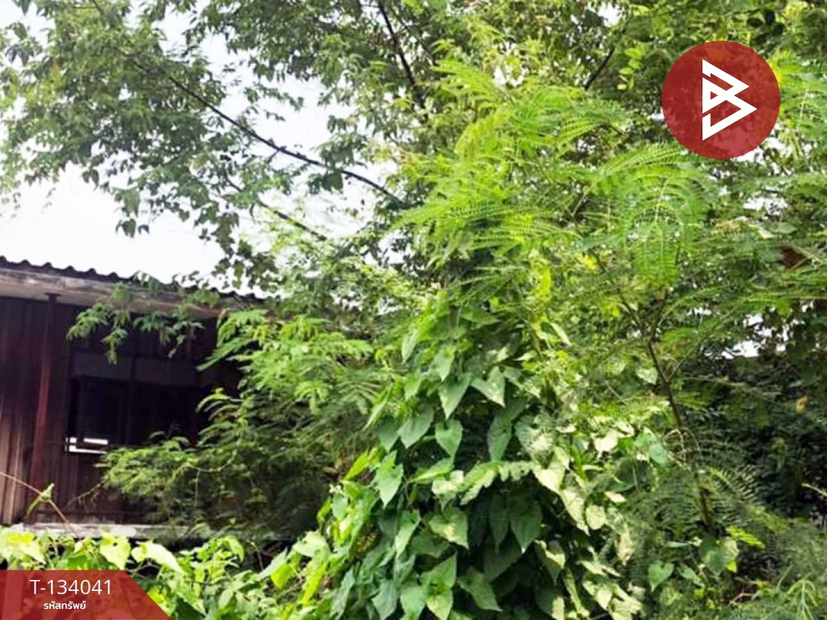 ขายที่ดินเปล่า เนื้อที่ 59 ตร.วา ปากเกร็ด นนทบุรี – รูปที่ 4