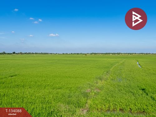 Land for sale, area 6 rai 1 ngan, Bang Bo, Samut Prakan.