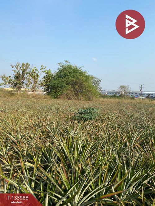 ขายที่ดิน เนื้อที่ 7 ไร่ นิคมพัฒนา ระยอง
