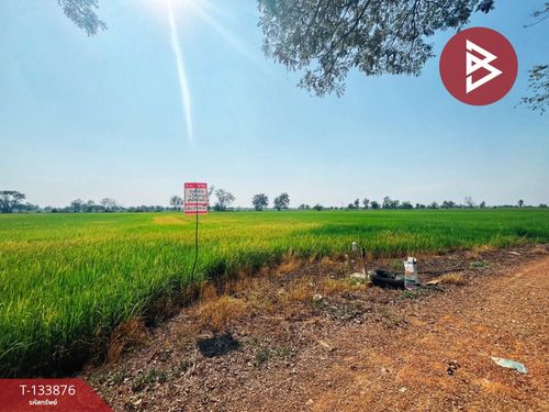 ขายที่ดิน เนื้อที่ 6 ไร่ สรรพยา ชัยนาท