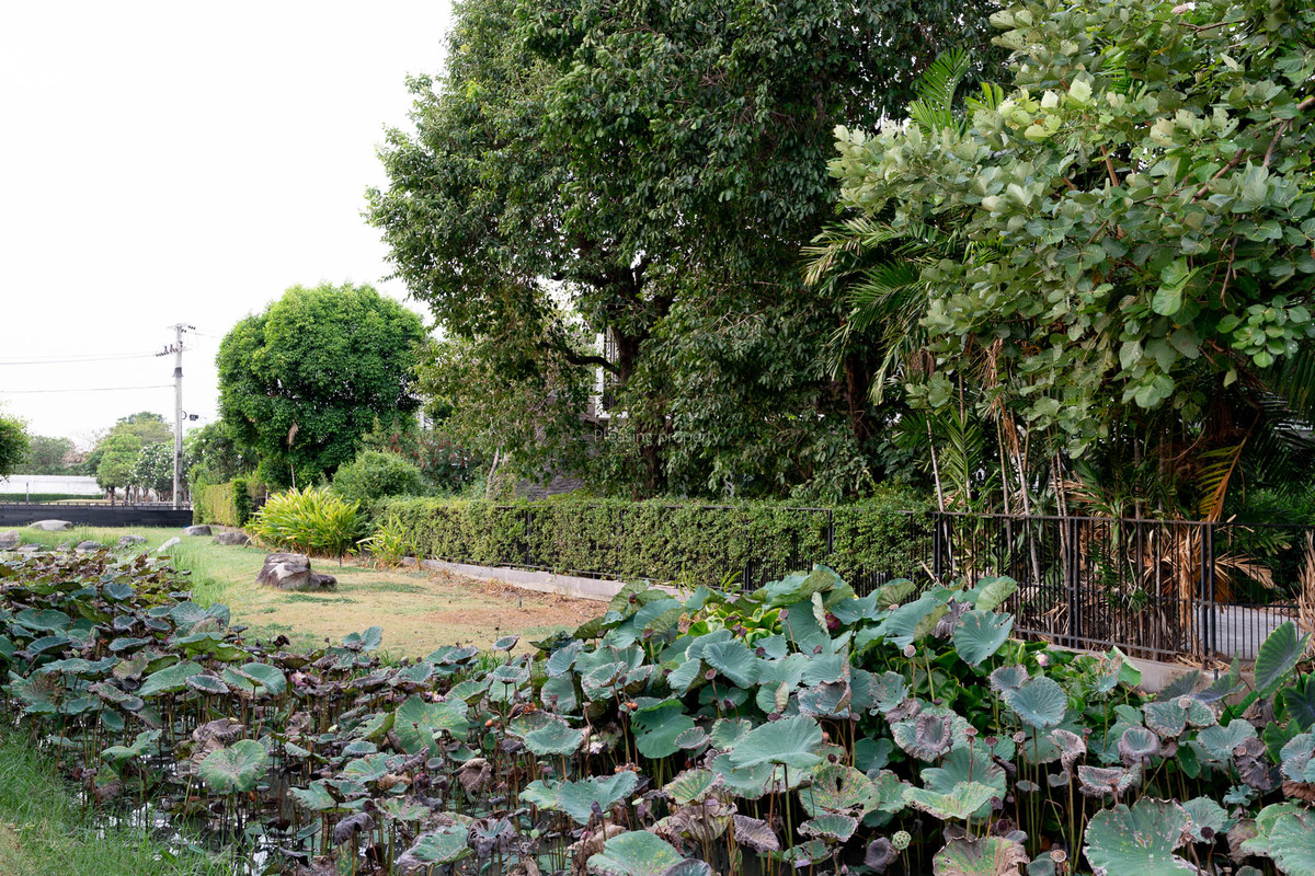 บ้านเดี่ยวร่มรื่น 148.8 ตร.วา จอดรถได้6คัน  ใกล้อ่อนนุช | 14.9 ล้าน – รูปที่ 3