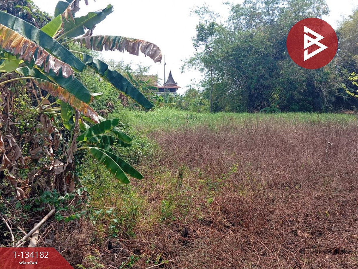 Land for sale, area 2 rai 2 ngan 31 sq m, Laem Sing, Chanthaburi. – รูปที่ 2