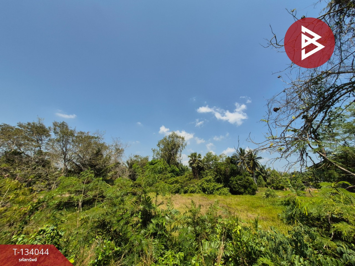 Empty land for sale, area 1 rai, Phunphin District, Surat Thani, near Wing 7 Airport. Empty land for sale, area 1 rai, Phunphin District, Surat Thani, near Wing 7 Airport.