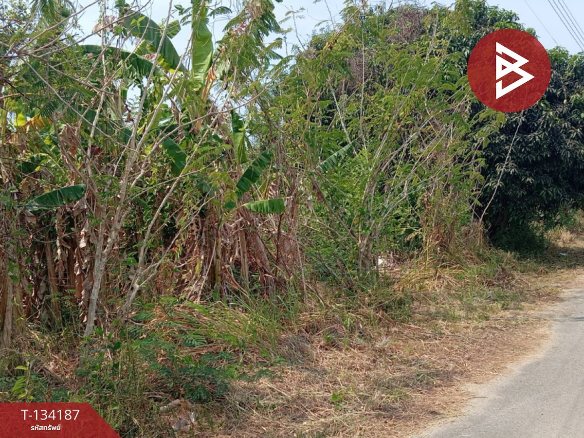 ขายที่ดิน เนื้อที่ 2 งาน 84 ตร.วา แหลมสิงห์ จันทบุรี – รูปที่ 4