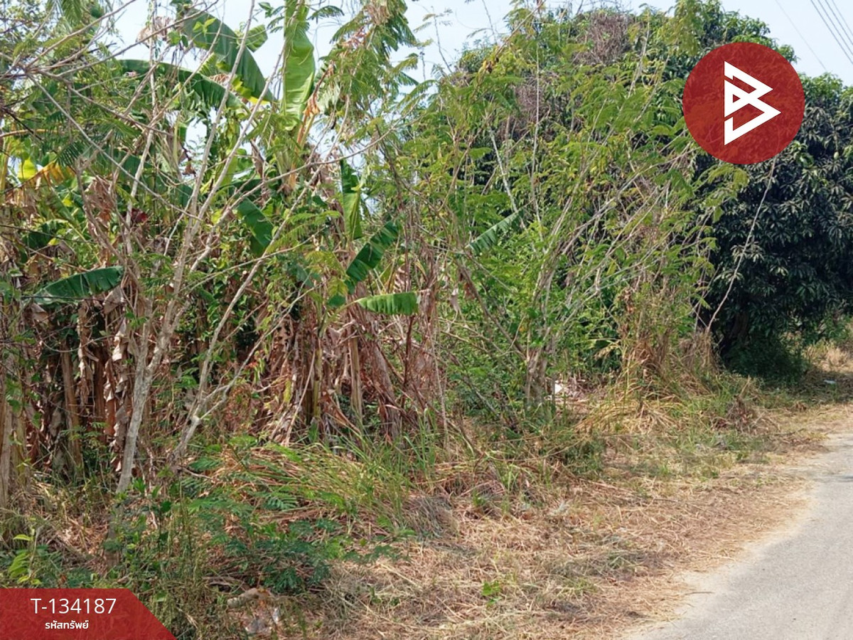 ขายที่ดิน เนื้อที่ 2 งาน 84 ตร.วา แหลมสิงห์ จันทบุรี – รูปที่ 2
