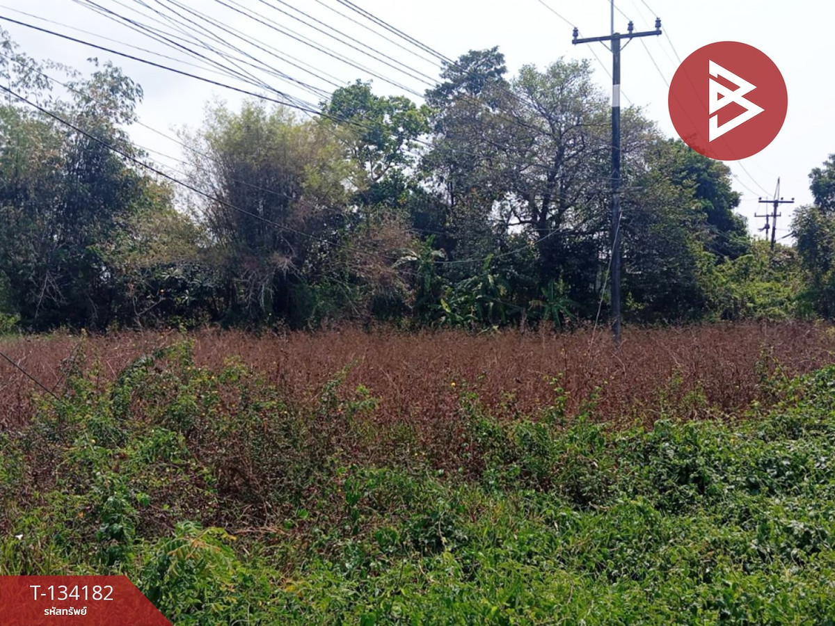 Land for sale, area 2 rai 2 ngan 31 sq m, Laem Sing, Chanthaburi. – รูปที่ 3