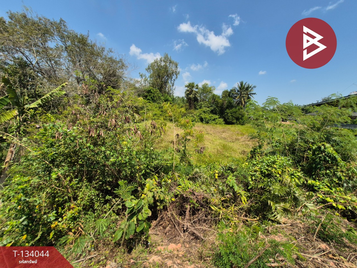 Empty land for sale, area 1 rai, Phunphin District, Surat Thani, near Wing 7 Airport. – รูปที่ 4