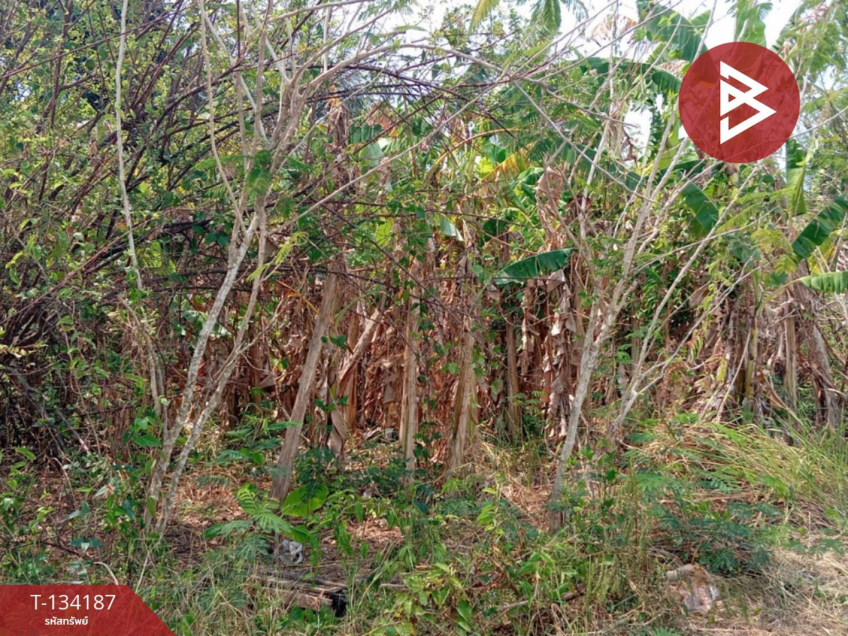 ขายที่ดิน เนื้อที่ 2 งาน 84 ตร.วา แหลมสิงห์ จันทบุรี – รูปที่ 3