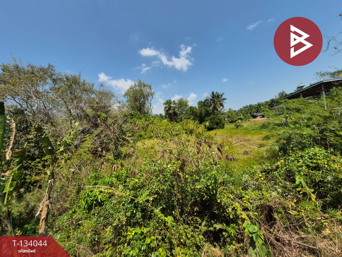 Empty land for sale, area 1 rai, Phunphin District, Surat Thani, near Wing 7 Airport. – รูปที่ 3
