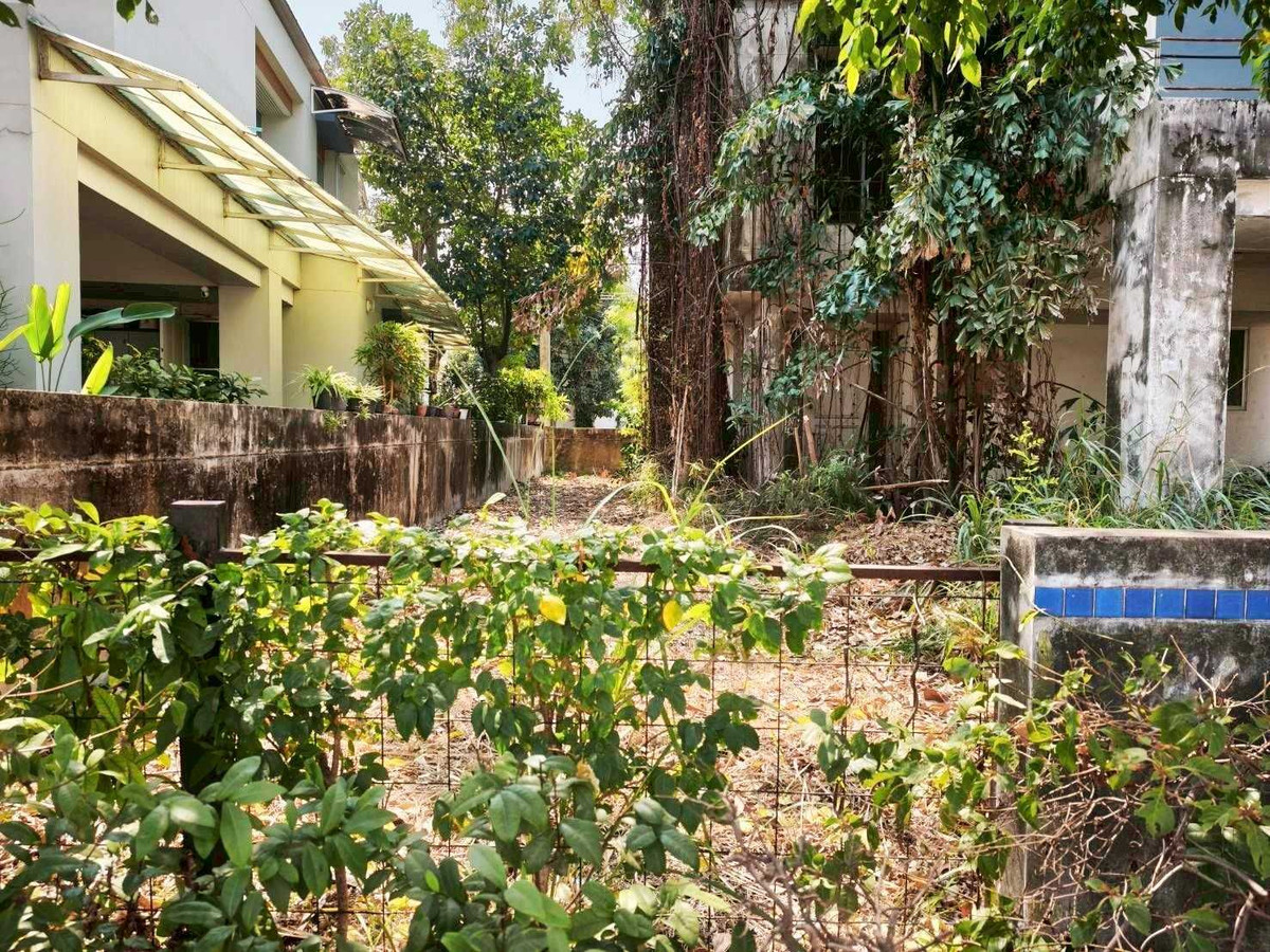 ขายที่ดินพร้อมสิ่งปลูกสร้าง 71 ตร.ว. หมู่บ้านโนเบิลโฮม บางพลี – รูปที่ 3