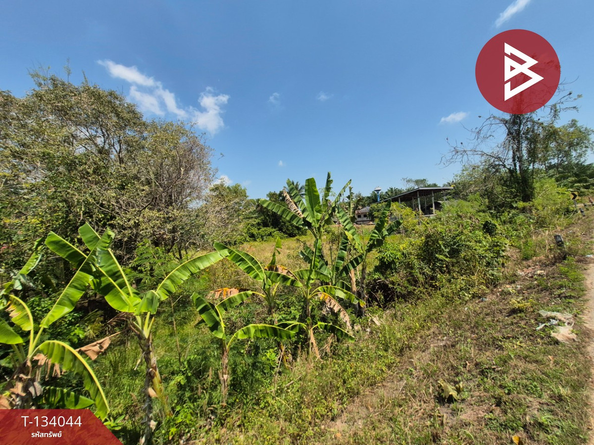 Empty land for sale, area 1 rai, Phunphin District, Surat Thani, near Wing 7 Airport. – รูปที่ 2