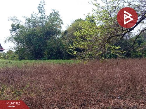 Land for sale, area 2 rai 2 ngan 31 sq m, Laem Sing, Chanthaburi.