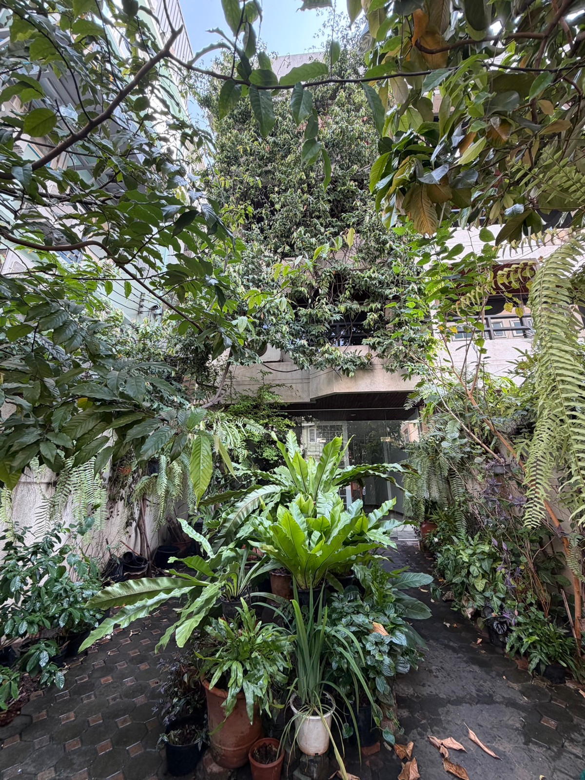 Townhome Thonglor soi 7 950m from BTS Thonglor: 4Fl 36sqwah 450sqm. 6bed 4bath 190,000/mth. Am: 0656199198