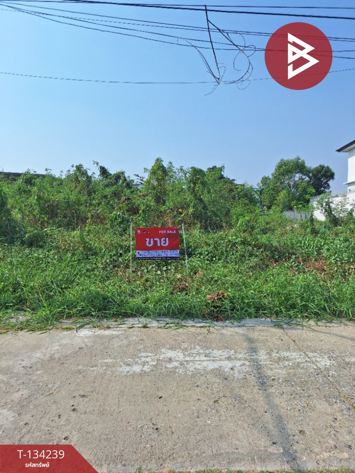 ขายที่ดิน เนื้อที่ 1 งาน 34 ตร.วา บางเมือง สมุทรปราการ ขายที่ดิน เนื้อที่ 1 งาน 34 ตร.วา บางเมือง สมุทรปราการ