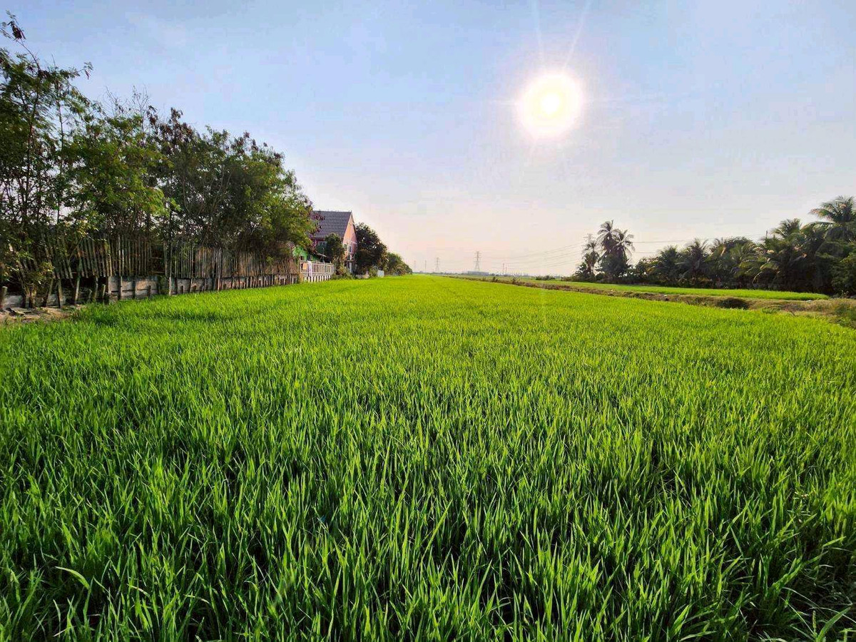 Beautiful Land for Sale  Lat Lum Kaeo District, Pathum Thani Province – รูปที่ 2
