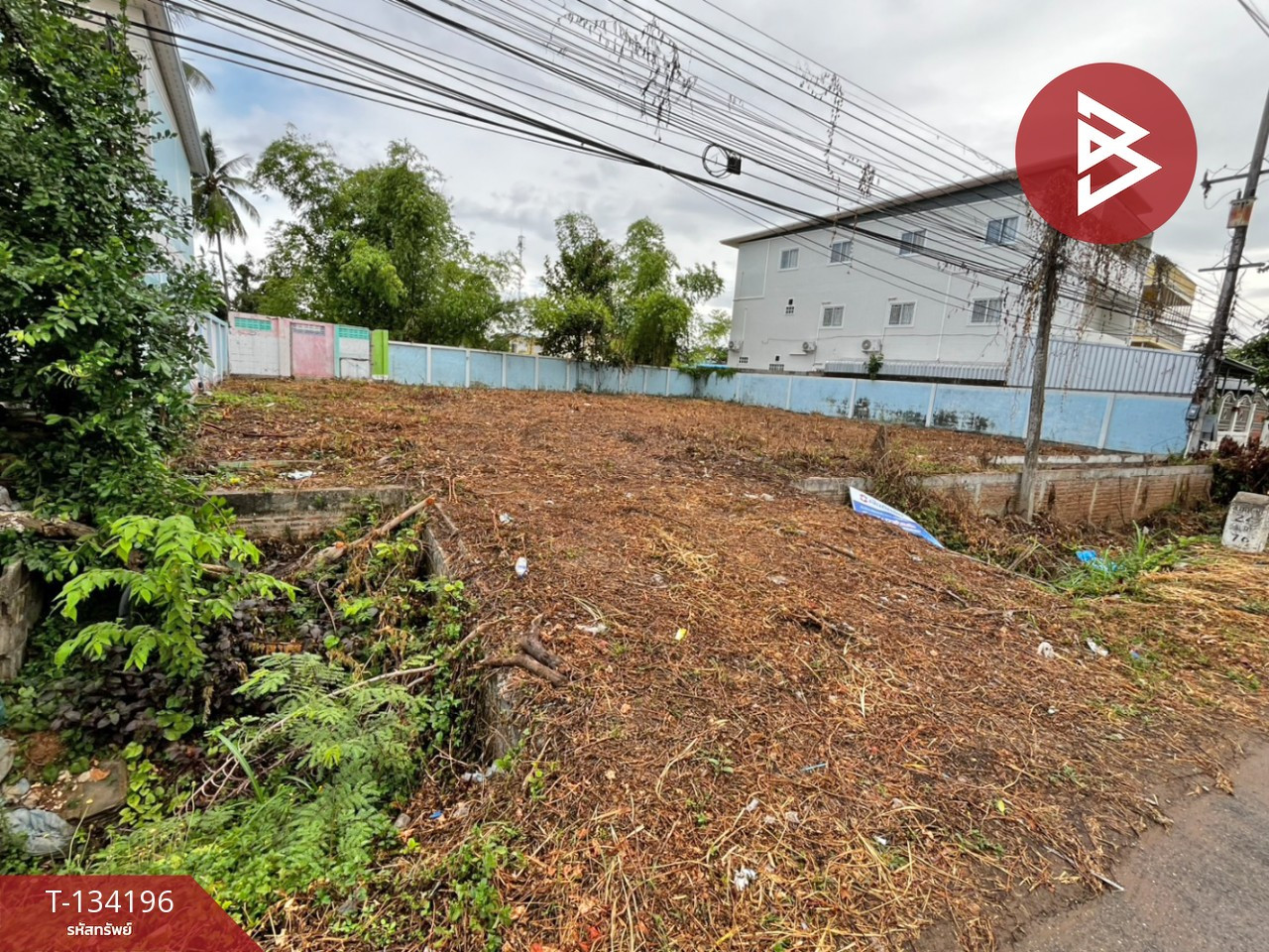Land for sale, area 1 ngan 44 sq m, Ban Kluai, Sukhothai – รูปที่ 2