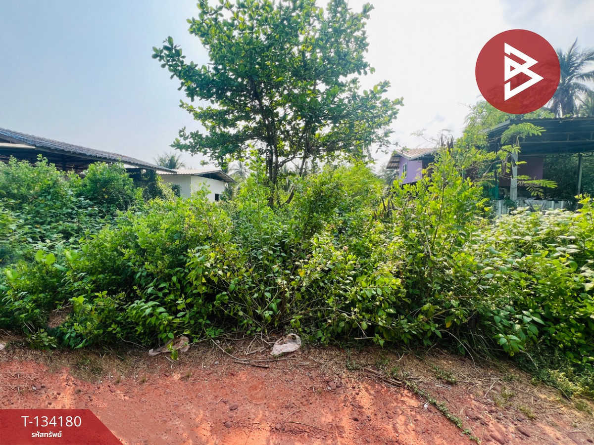 Land for sale, area 1 ngan, Lat Yai, Samut Songkhram Land for sale, area 1 ngan, Lat Yai, Samut Songkhram