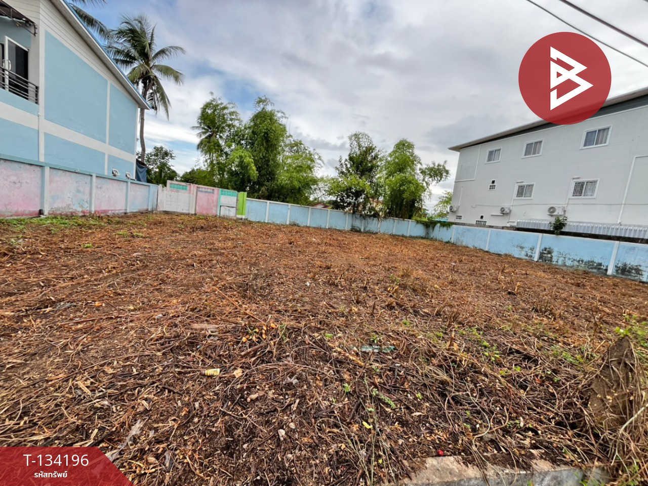 Land for sale, area 1 ngan 44 sq m, Ban Kluai, Sukhothai – รูปที่ 4